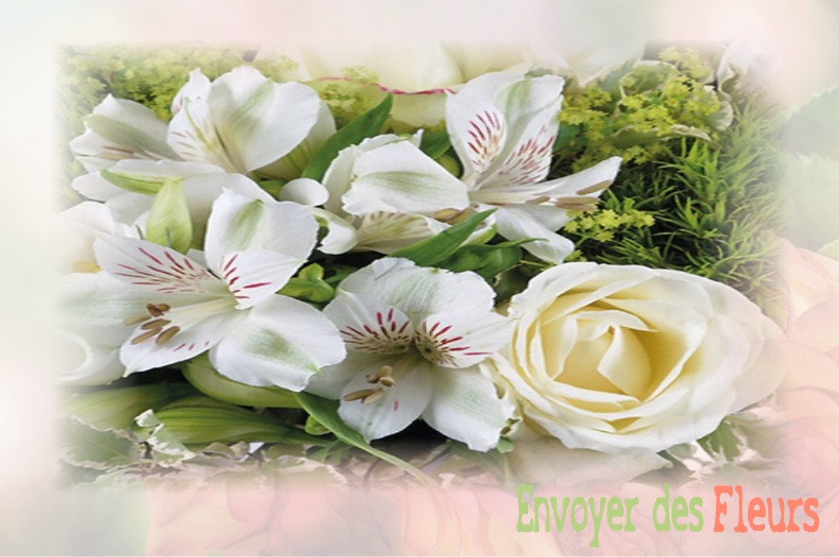 envoyer des fleurs à à FERRIERES-LES-BOIS